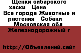 Щенки сибирского хаски › Цена ­ 12 000 - Все города Животные и растения » Собаки   . Московская обл.,Железнодорожный г.